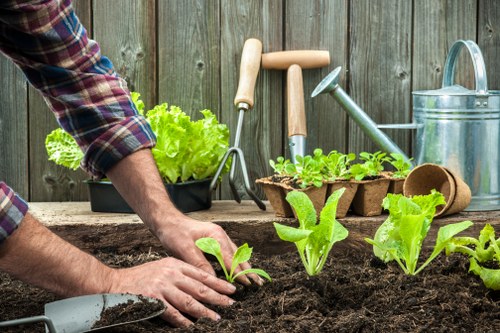 Garden clearance pricing for a compact New Southgate front garden