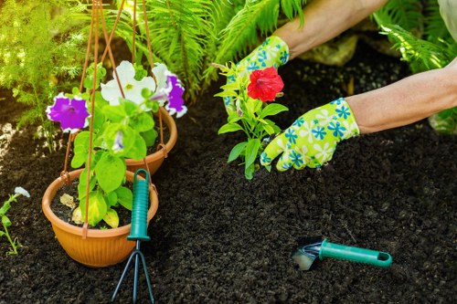 Professional gardening services in New Southgate for tidy outdoor spaces