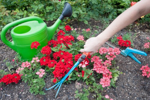 Gardeners New Southgate creating a tidy and vibrant outdoor space