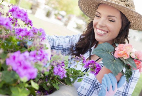 Professional garden tidy-up for a New Southgate property