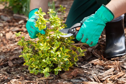 Tidy landscaped garden maintained in New Southgate