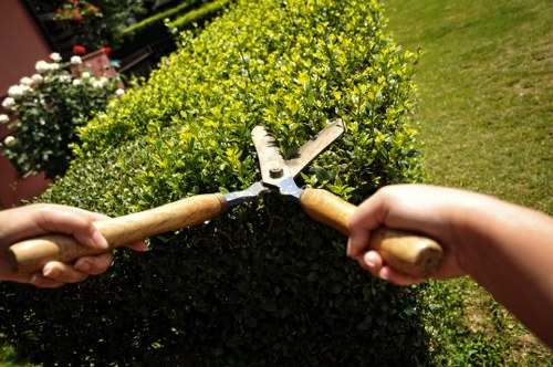 Professional gardener in New Southgate pruning hedges