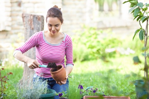 Seasonal planting and garden design in New Southgate
