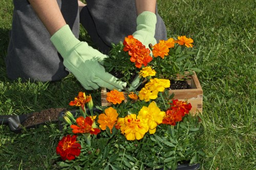 Seasonal lawn treatment and feeding in New Southgate garden