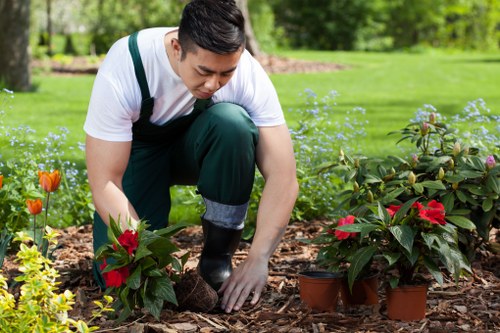 Garden waste and site responsibility terms document