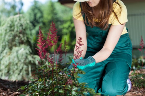 Green waste being sorted for recycling near New Southgate