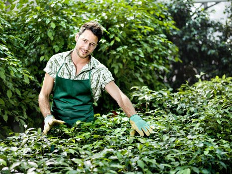Zero tolerance policy for New Southgate gardeners