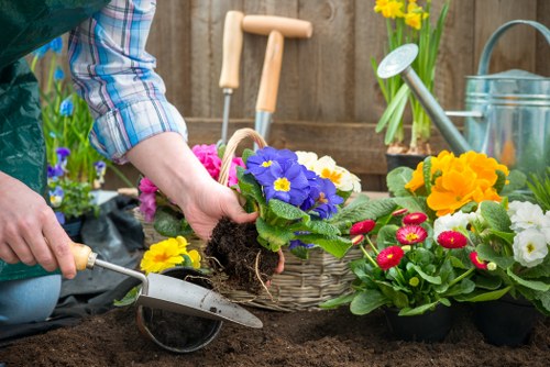 Professional grass cutting service in New Southgate for a tidy lawn