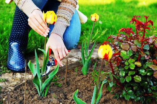 Weed control and border maintenance in New Southgate