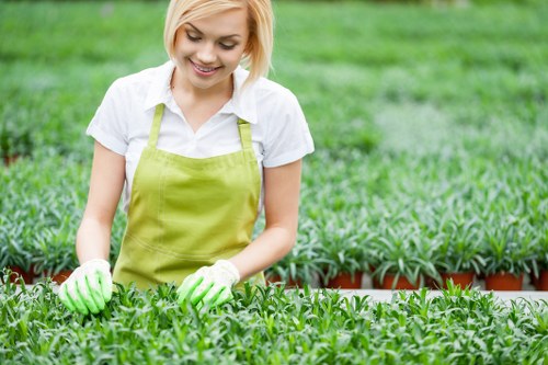 Environmentally responsible gardening and waste separation in New Southgate