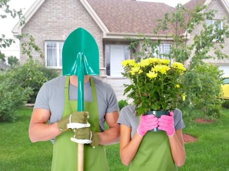 Local garden lawn care in New Southgate with trimmed turf