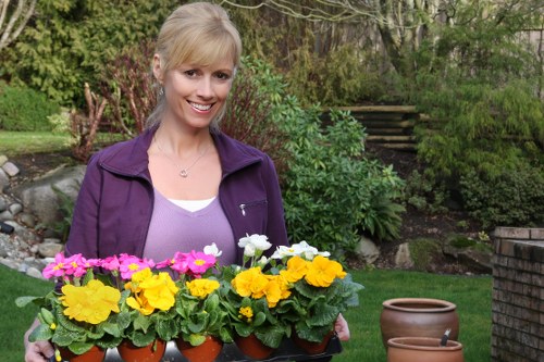 Professional handling of a gardening complaint