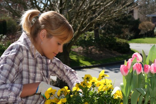 A New Southgate gardener using safe working practices outdoors