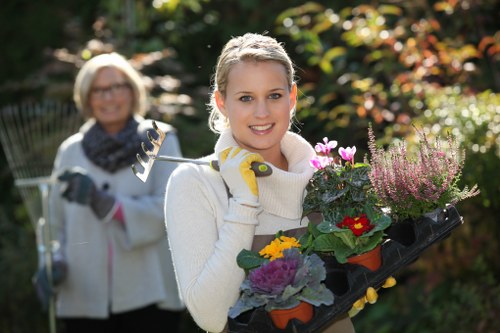 Local lawn care in New Southgate for a well-maintained garden