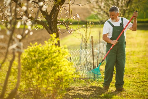 Seasonal hedge maintenance and cutting in New Southgate garden