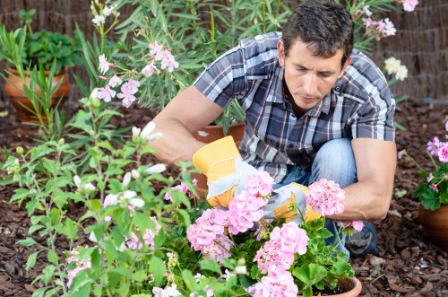 Garden service concern being assessed