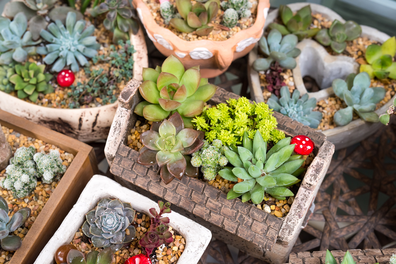 Garden outdoor space